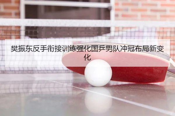 樊振东反手衔接训练强化国乒男队冲冠布局新变化