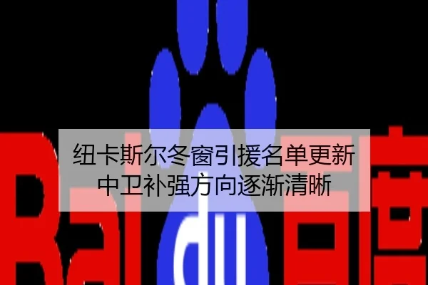 纽卡斯尔冬窗引援名单更新 中卫补强方向逐渐清晰